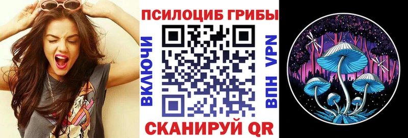 Галлюциногенные грибы Psilocybe  магазин    Ладушкин 