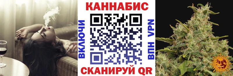 наркотики  Ладушкин  Канабис планчик 